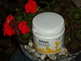 DiVet